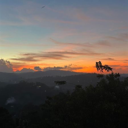 Kandy Hill Escape Bagian luar foto